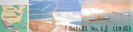 メキシコの広大な塩田
